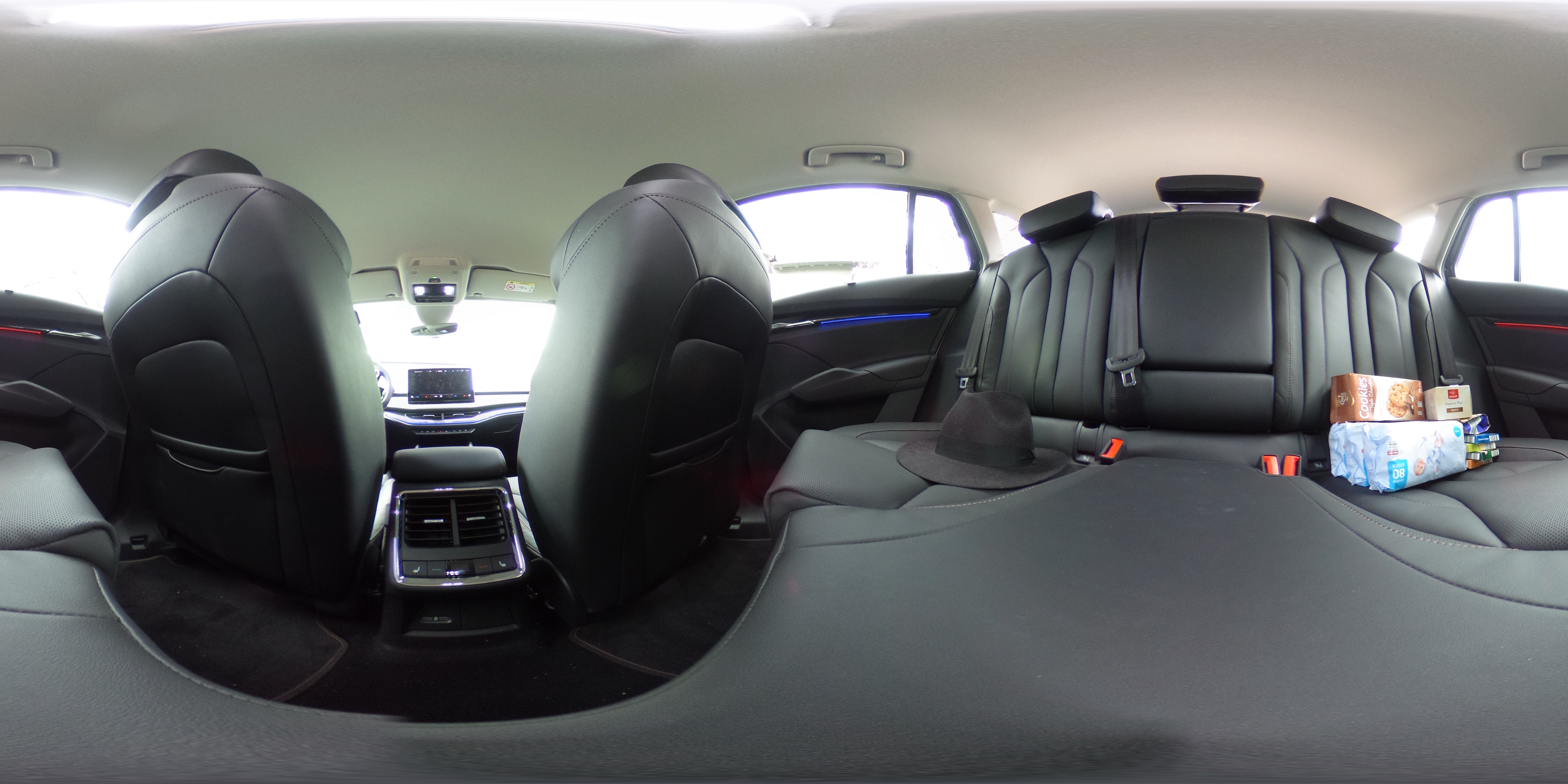 360 Grad ENYAQ von der Rückbank aus - Einkäufe bitte ignorieren! / BIid-Quelle: privat